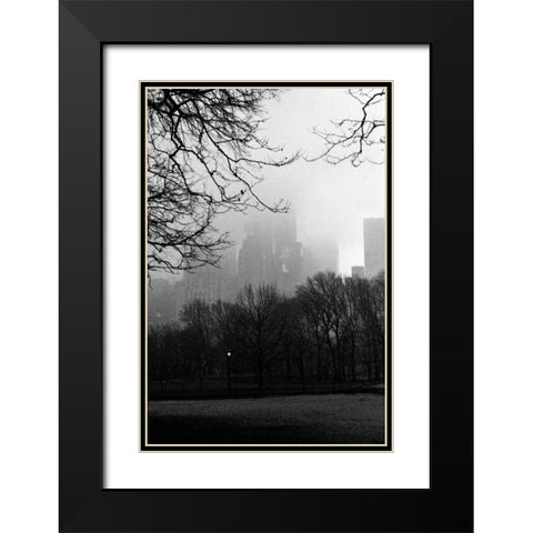 Central Park A Black Modern Wood Framed Art Print with Double Matting by Grey, Jace