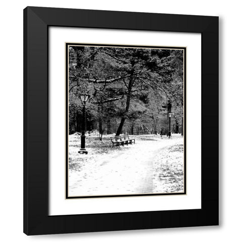 Central Park Snowy Scene 2 Black Modern Wood Framed Art Print with Double Matting by Grey, Jace