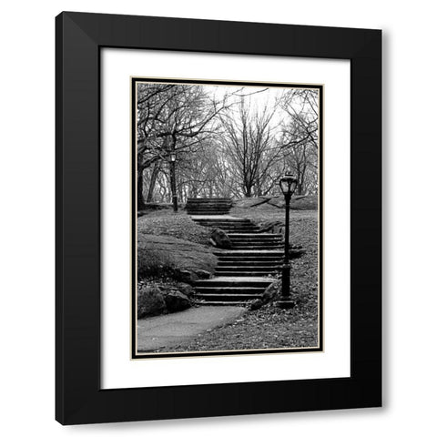 Central Park Stairs To Nowhere Black Modern Wood Framed Art Print with Double Matting by Grey, Jace