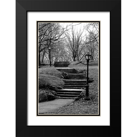 Central Park Stairs To Nowhere Black Modern Wood Framed Art Print with Double Matting by Grey, Jace