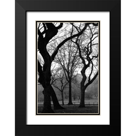 Central Park Dancing Trees Black Modern Wood Framed Art Print with Double Matting by Grey, Jace