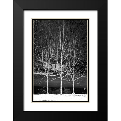 Central Park Three Amigos Winter Black Modern Wood Framed Art Print with Double Matting by Grey, Jace