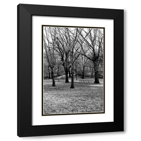 Central Park Image 013 Black Modern Wood Framed Art Print with Double Matting by Grey, Jace