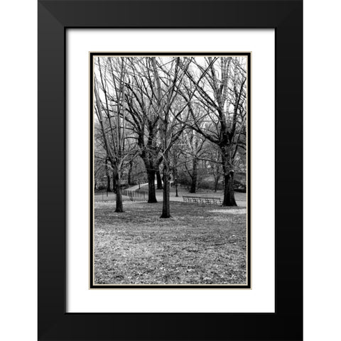 Central Park Image 013 Black Modern Wood Framed Art Print with Double Matting by Grey, Jace