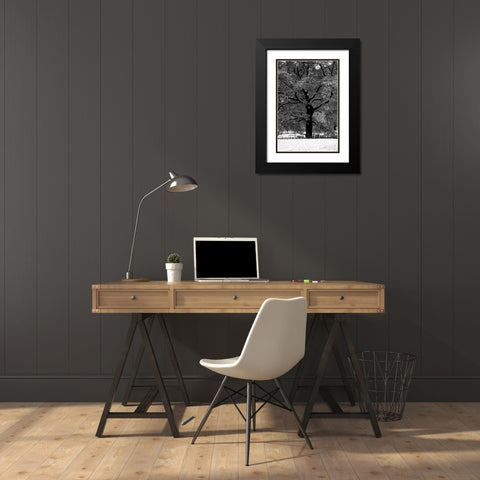 Central Park Solitary Friend Black Modern Wood Framed Art Print with Double Matting by Grey, Jace