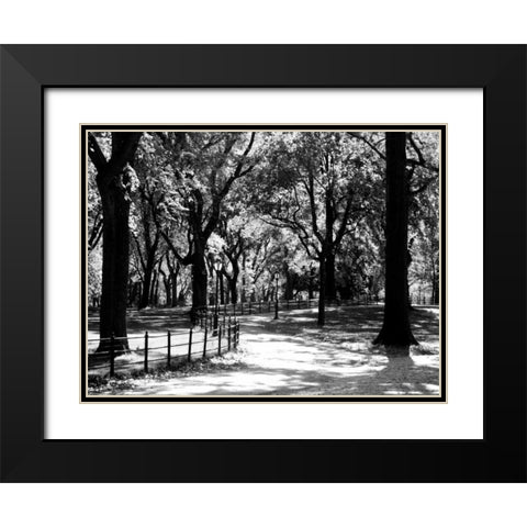 Central Park Walk Black Modern Wood Framed Art Print with Double Matting by Pica, Jeff