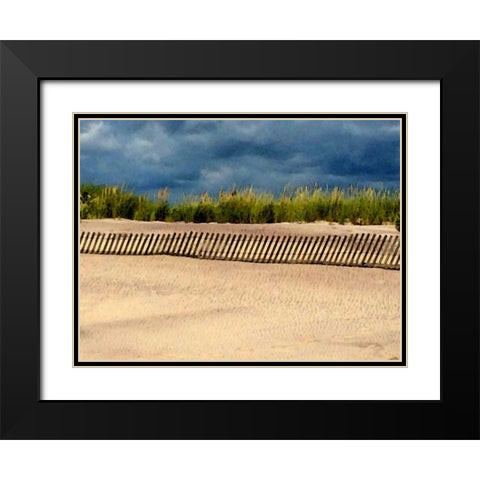 Beach 1056 Black Modern Wood Framed Art Print with Double Matting by Pica, Jeff