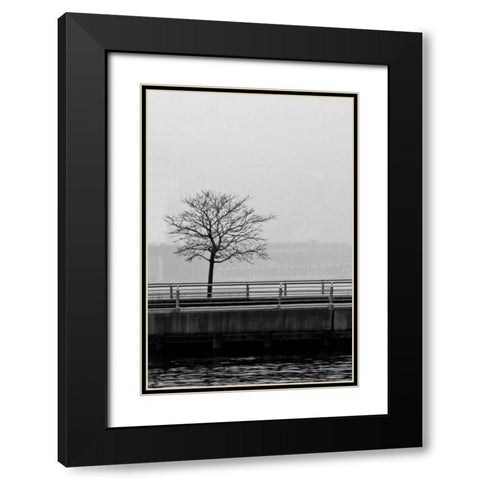 Tree View 1 Black Modern Wood Framed Art Print with Double Matting by Pica, Jeff