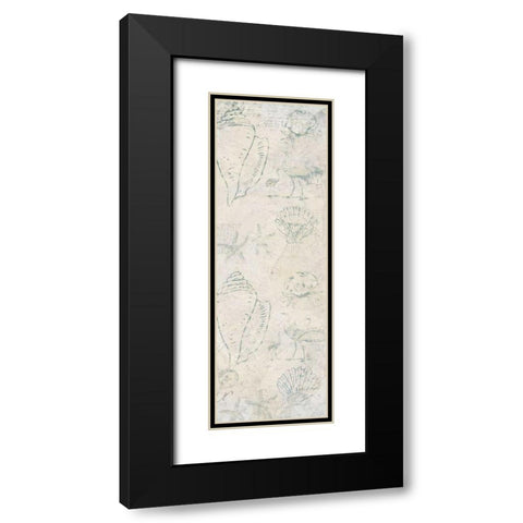 Coastal Shells Black Modern Wood Framed Art Print with Double Matting by Allen, Kimberly