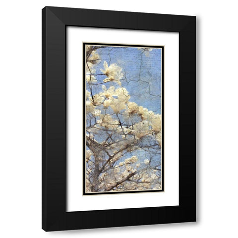 Magnolia Panel 2 Black Modern Wood Framed Art Print with Double Matting by Allen, Kimberly