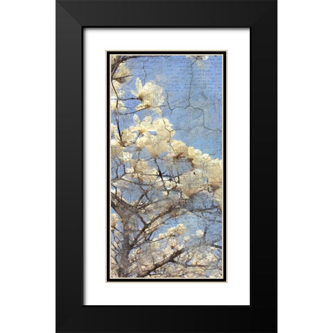 Magnolia Panel 2 Black Modern Wood Framed Art Print with Double Matting by Allen, Kimberly