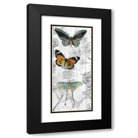 Butterflies Are Free 1 Black Modern Wood Framed Art Print with Double Matting by Allen, Kimberly