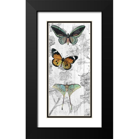 Butterflies Are Free 1 Black Modern Wood Framed Art Print with Double Matting by Allen, Kimberly
