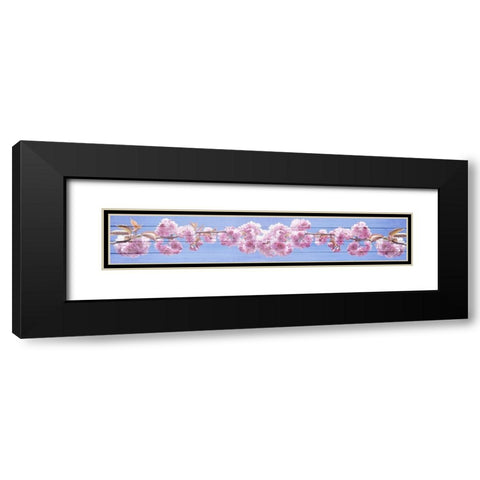 Pink Blossoms Black Modern Wood Framed Art Print with Double Matting by Kimberly, Allen
