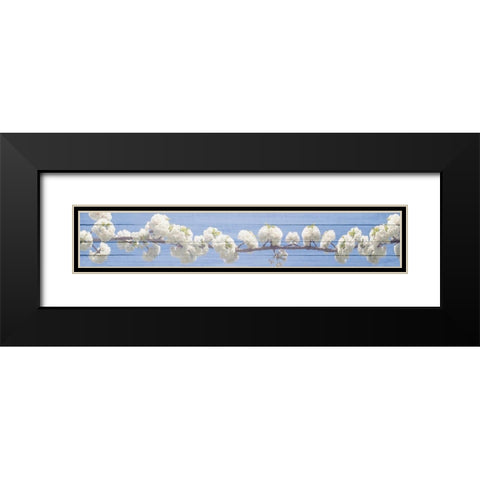 White Blossoms Black Modern Wood Framed Art Print with Double Matting by Kimberly, Allen