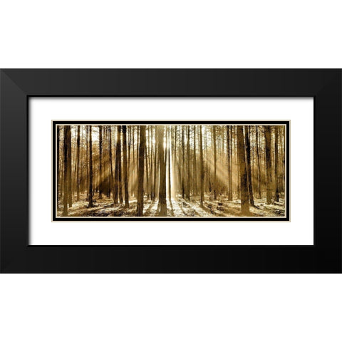 Morning through the Trees Black Modern Wood Framed Art Print with Double Matting by Kimberly, Allen