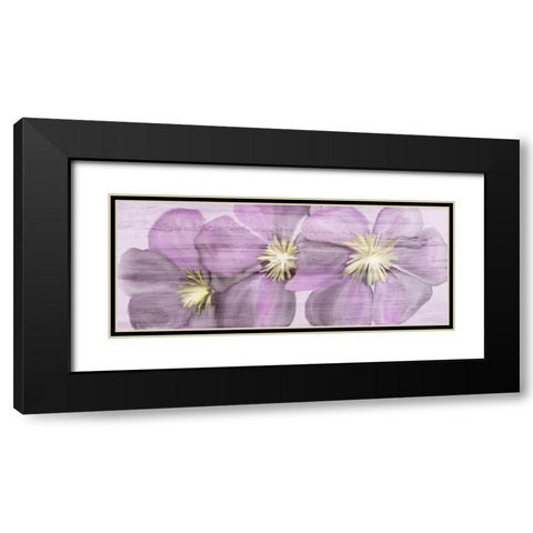 Violet Clematis Black Modern Wood Framed Art Print with Double Matting by Kimberly, Allen