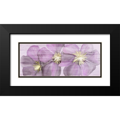 Violet Clematis Black Modern Wood Framed Art Print with Double Matting by Kimberly, Allen