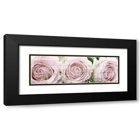 Three Roses Black Modern Wood Framed Art Print with Double Matting by Kimberly, Allen