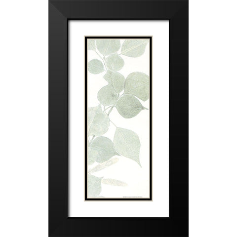 Soft Green 1 Black Modern Wood Framed Art Print with Double Matting by Allen, Kimberly
