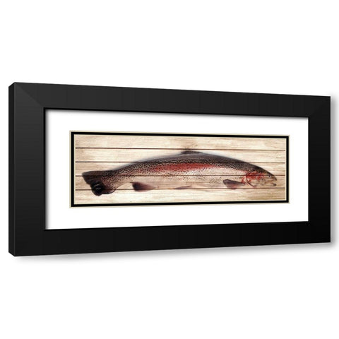 Trout 1 Black Modern Wood Framed Art Print with Double Matting by Allen, Kimberly