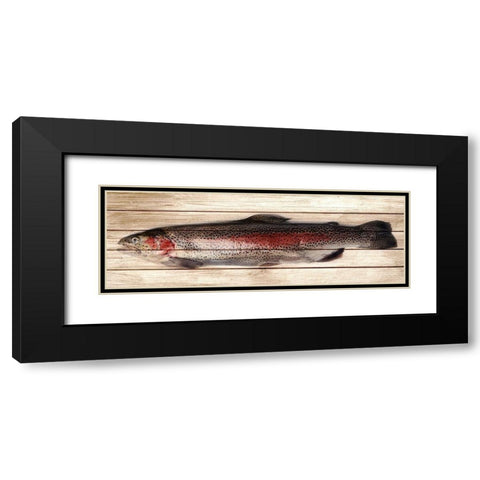 Trout 2 Black Modern Wood Framed Art Print with Double Matting by Allen, Kimberly