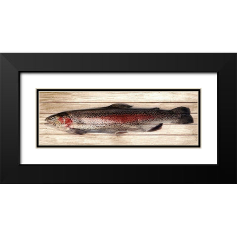Trout 2 Black Modern Wood Framed Art Print with Double Matting by Allen, Kimberly
