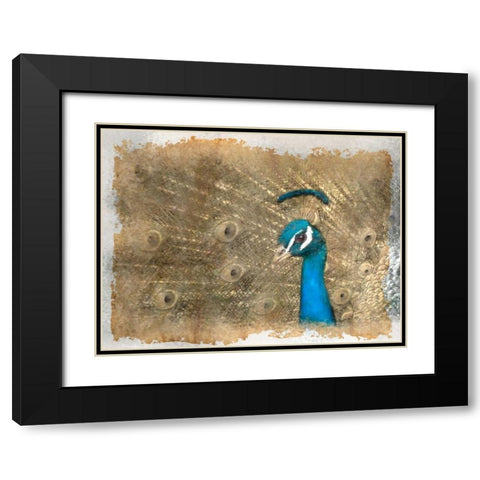 Antique Peaccock Black Modern Wood Framed Art Print with Double Matting by Allen, Kimberly