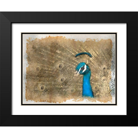 Antique Peaccock Black Modern Wood Framed Art Print with Double Matting by Allen, Kimberly