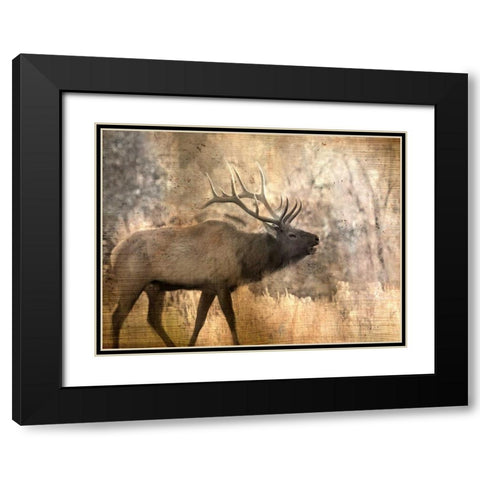 Morning Walk Black Modern Wood Framed Art Print with Double Matting by Allen, Kimberly
