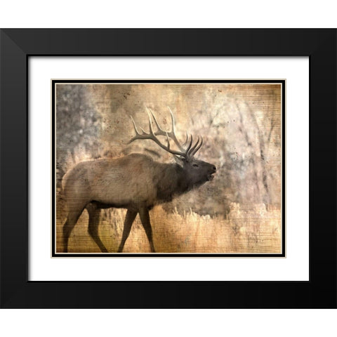 Morning Walk Black Modern Wood Framed Art Print with Double Matting by Allen, Kimberly