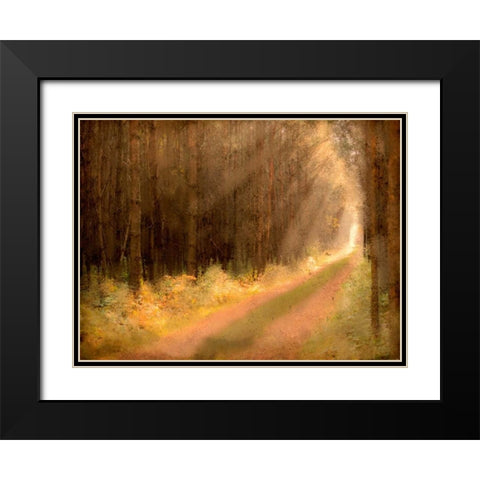 Road To Enlightenment Black Modern Wood Framed Art Print with Double Matting by Allen, Kimberly