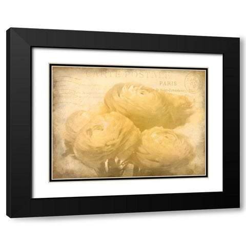 Ranunkeln Blooms Black Modern Wood Framed Art Print with Double Matting by Allen, Kimberly