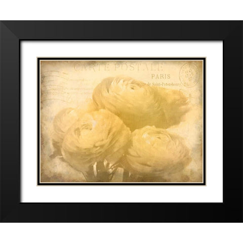 Ranunkeln Blooms Black Modern Wood Framed Art Print with Double Matting by Allen, Kimberly