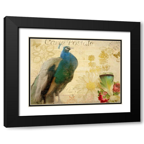Postcard Peacock Black Modern Wood Framed Art Print with Double Matting by Allen, Kimberly