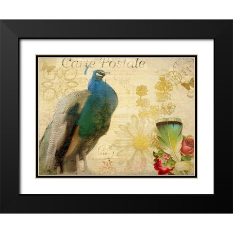 Postcard Peacock Black Modern Wood Framed Art Print with Double Matting by Allen, Kimberly