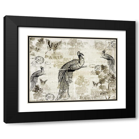 Music Notes Peacocks Black Modern Wood Framed Art Print with Double Matting by Allen, Kimberly
