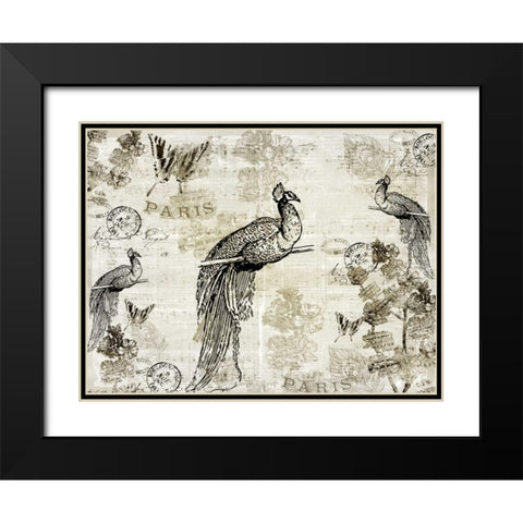 Music Notes Peacocks Black Modern Wood Framed Art Print with Double Matting by Allen, Kimberly