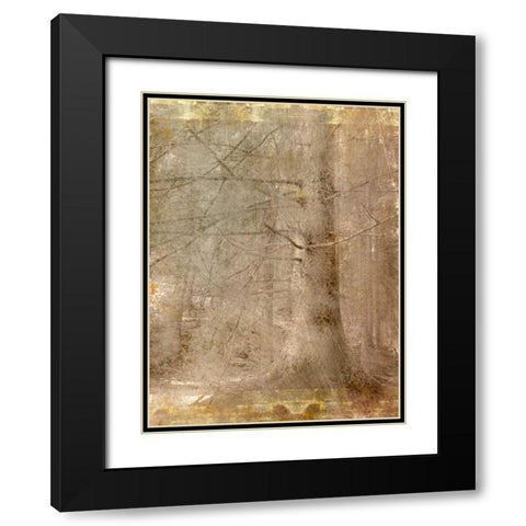 In the Forest Black Modern Wood Framed Art Print with Double Matting by Allen, Kimberly