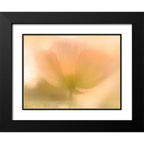 Golden Poppy Black Modern Wood Framed Art Print with Double Matting by Allen, Kimberly