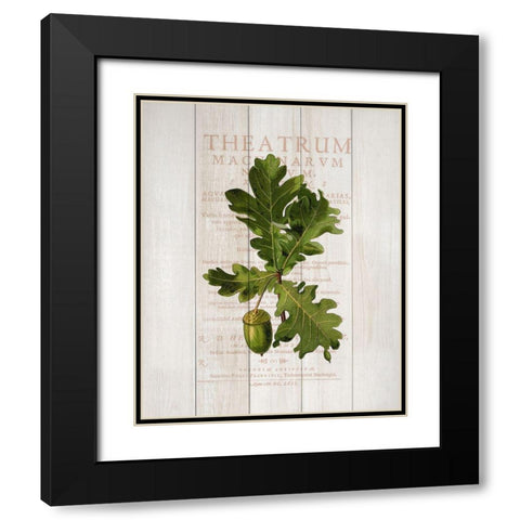 Fall Botanical 1 Black Modern Wood Framed Art Print with Double Matting by Kimberly, Allen