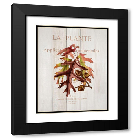 Fall Botanical 2 Black Modern Wood Framed Art Print with Double Matting by Kimberly, Allen