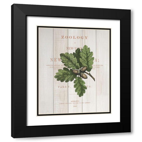 Fall Botanical 3 Black Modern Wood Framed Art Print with Double Matting by Kimberly, Allen