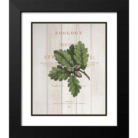 Fall Botanical 3 Black Modern Wood Framed Art Print with Double Matting by Kimberly, Allen