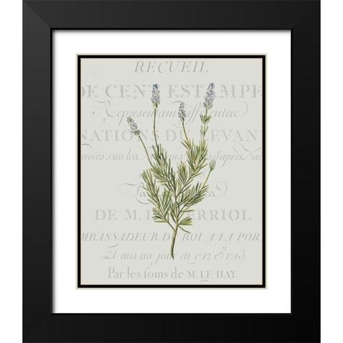 Fresh Herbs 1 Black Modern Wood Framed Art Print with Double Matting by Kimberly, Allen