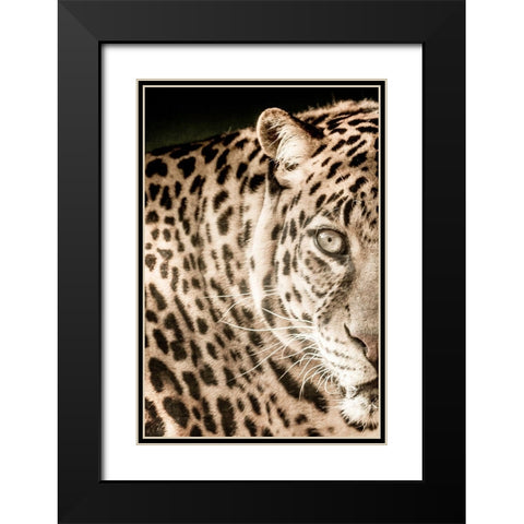 Leo A Black Modern Wood Framed Art Print with Double Matting by Kimberly, Allen