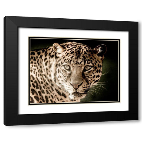 Leo Black Modern Wood Framed Art Print with Double Matting by Kimberly, Allen