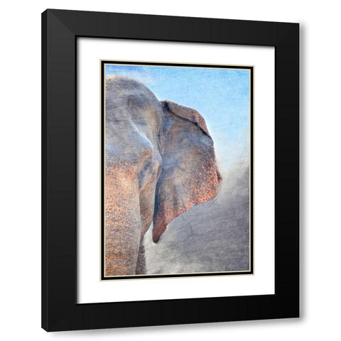 African Elephant B Black Modern Wood Framed Art Print with Double Matting by Kimberly, Allen
