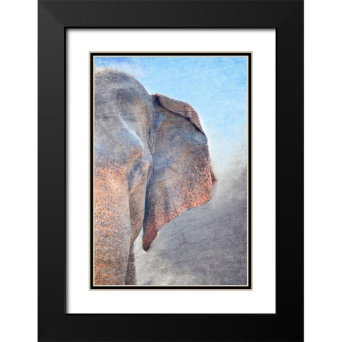 African Elephant B Black Modern Wood Framed Art Print with Double Matting by Kimberly, Allen
