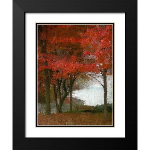 Maple Tree Walk Black Modern Wood Framed Art Print with Double Matting by Kimberly, Allen